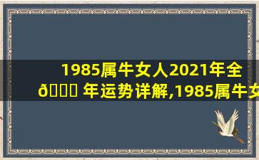 1985属牛女人2021年全 🐛 年运势详解,1985属牛女的2021年运势 🦄 如何